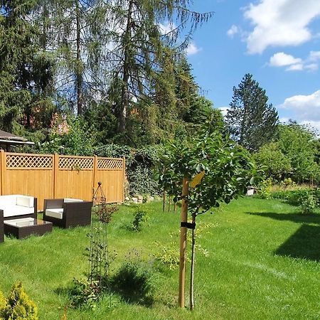 Pineapple Apartments Dresdner Heide Mit Garten 德累斯顿 外观 照片